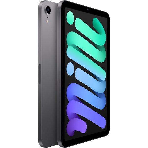 Apple iPad mini 64GB Wi-Fi + Cellular vesmírně šedý (2021)