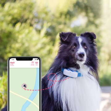 Tractive GPS DOG 4 – GPS sledování polohy a aktivity pro psy, modrý