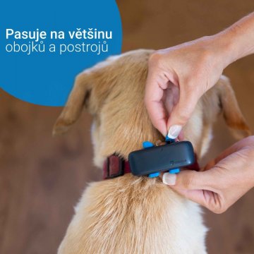 Tractive GPS DOG 4 – GPS sledování polohy a aktivity pro psy, modrý