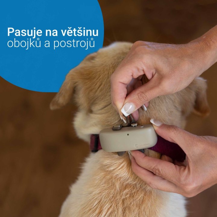 Tractive GPS DOG 4 – GPS sledování polohy a aktivity pro psy, hnědý