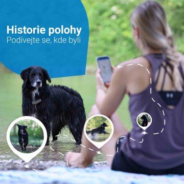 Tractive GPS DOG 4 – GPS sledování polohy a aktivity pro psy, hnědý