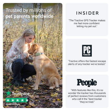 Tractive GPS DOG XL, GPS sledování polohy a aktivity pro psy, zelený