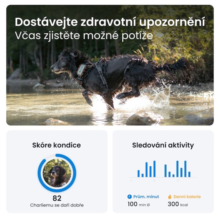 Tractive GPS DOG XL – Adventure Edition